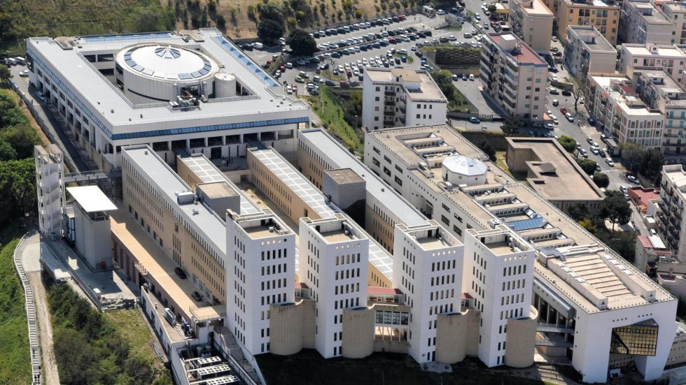 Università Degli Studi Mediterranea Di Reggio Calabria